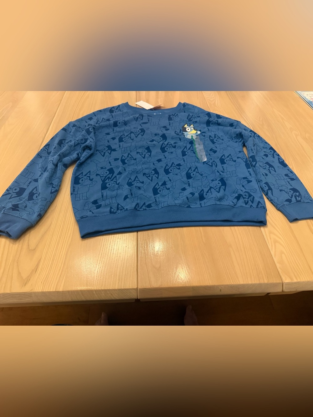 Bluey Hybrid Apparel sweatshirt Graphic Sweatshirt in Blue Size Medium NWT